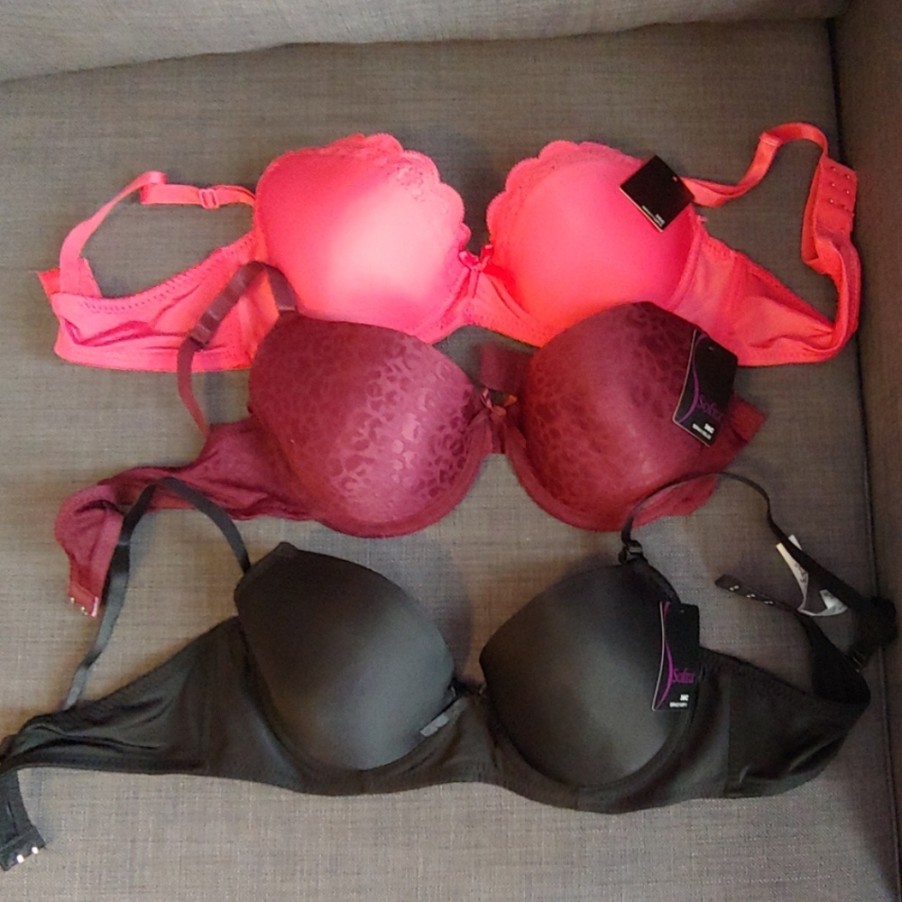 3 36C bras NWT